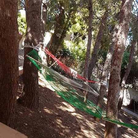 La Pineta *